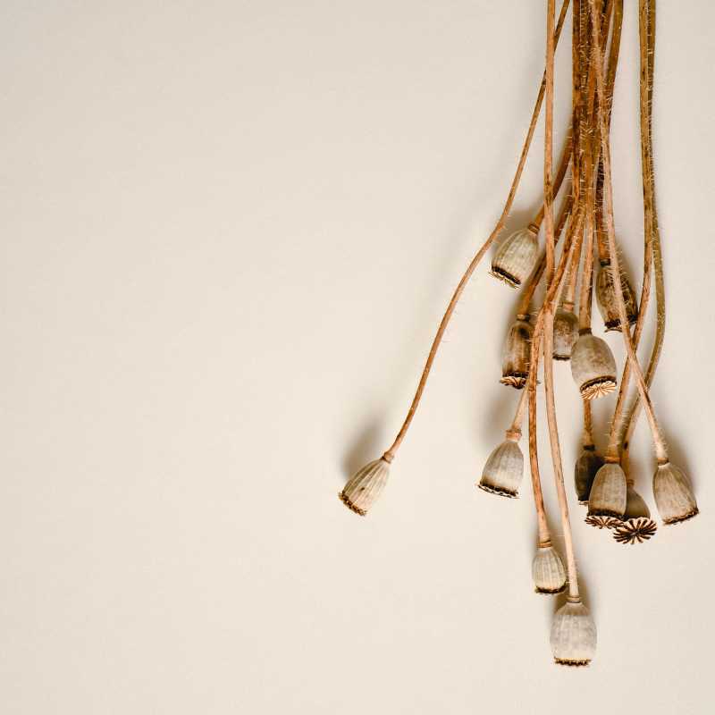 Der Blick hinter das&nbsp;Hindernis